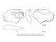 図版 174-S228.jpg