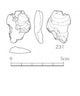 図版 174-S231.jpg