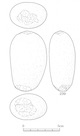 図版 174-S239.jpg