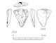 図版 174-S244.jpg