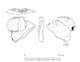 図版 174-S246.jpg