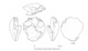 図版 174-S248.jpg