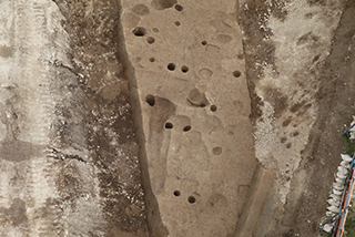 FileNo.175-020.jpg