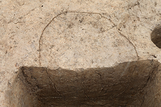 FileNo.175-021.jpg