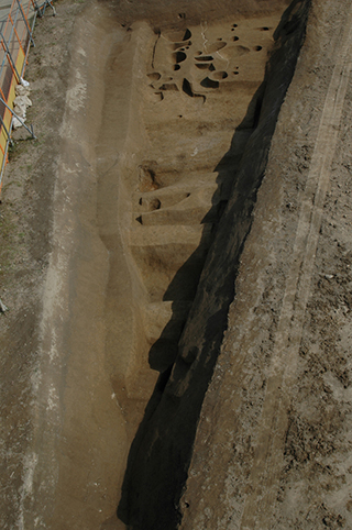FileNo.175-049.jpg