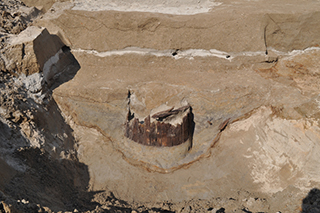 FileNo.175-052.jpg