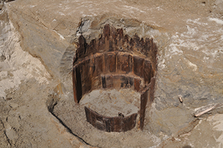 FileNo.175-054.jpg