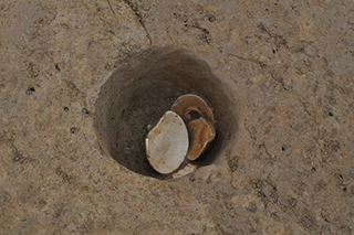 FileNo.175-059.jpg