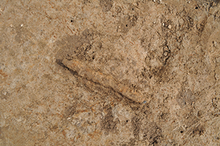 FileNo.175-061.jpg