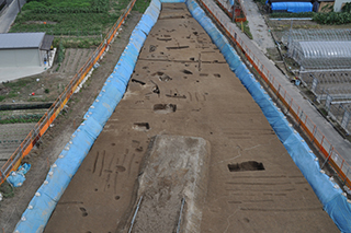 FileNo.175-070.jpg