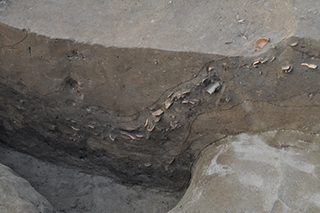 FileNo.175-092.jpg