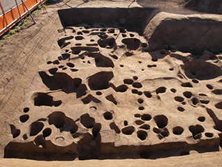 FileNo.175-100.jpg