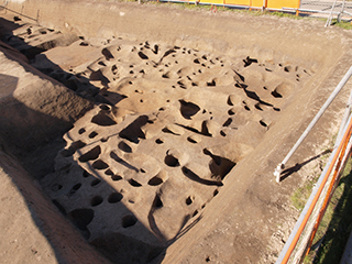 FileNo.175-101.jpg