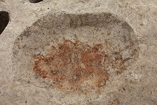 FileNo.175-105.jpg