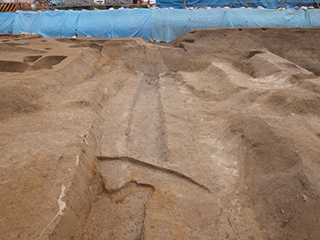 FileNo.175-130.jpg