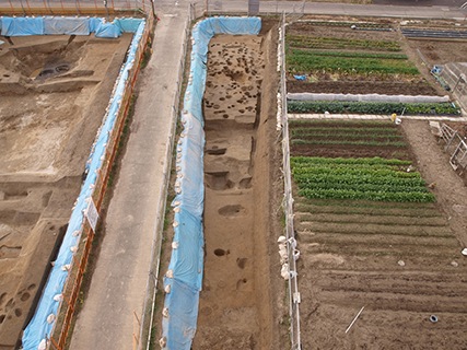 FileNo.175-135.jpg