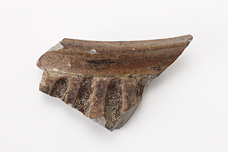 FileNo.175-205.jpg
