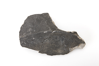 FileNo.175-221.jpg
