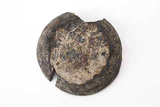 FileNo.175-381.jpg