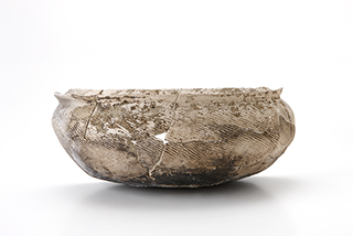 FileNo.175-455.jpg