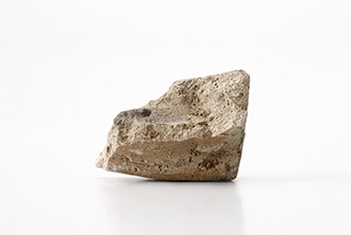 FileNo.175-478.jpg