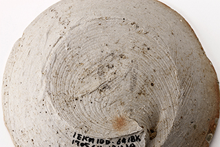 FileNo.175-494.jpg