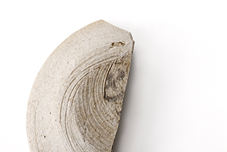 FileNo.175-495.jpg