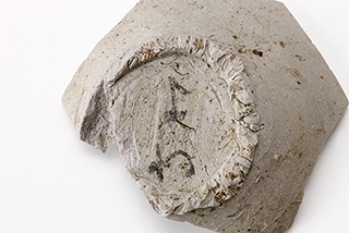 FileNo.175-513.jpg