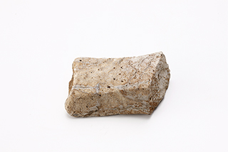 FileNo.175-554.jpg