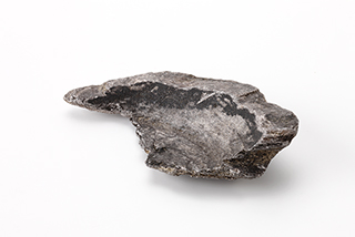 FileNo.175-573.jpg