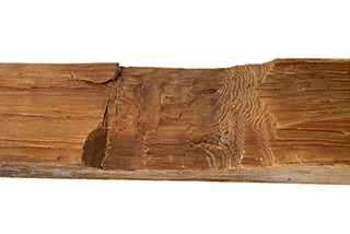 FileNo.175-594.jpg