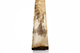 FileNo.175-649.jpg