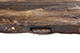 FileNo.175-651.jpg