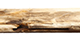 FileNo.175-659.jpg
