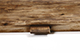 FileNo.175-661.jpg