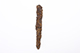 FileNo.175-677.jpg