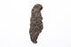 FileNo.175-683.jpg