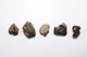 FileNo.175-721.jpg