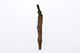 FileNo.175-725.jpg