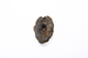 FileNo.175-737.jpg
