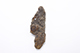 FileNo.175-767.jpg