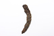 FileNo.175-774.jpg