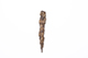 FileNo.175-780.jpg