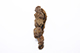 FileNo.175-789.jpg