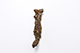 FileNo.175-798.jpg