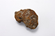 FileNo.175-870.jpg