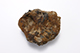 FileNo.175-892.jpg