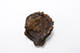FileNo.175-907.jpg