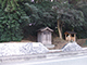 FileNo.178-009.jpg