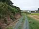 FileNo.178-010.jpg